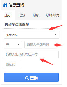 汽车违章查询网站手机版全国违章免费查询入口官网-第2张图片-太平洋在线下载