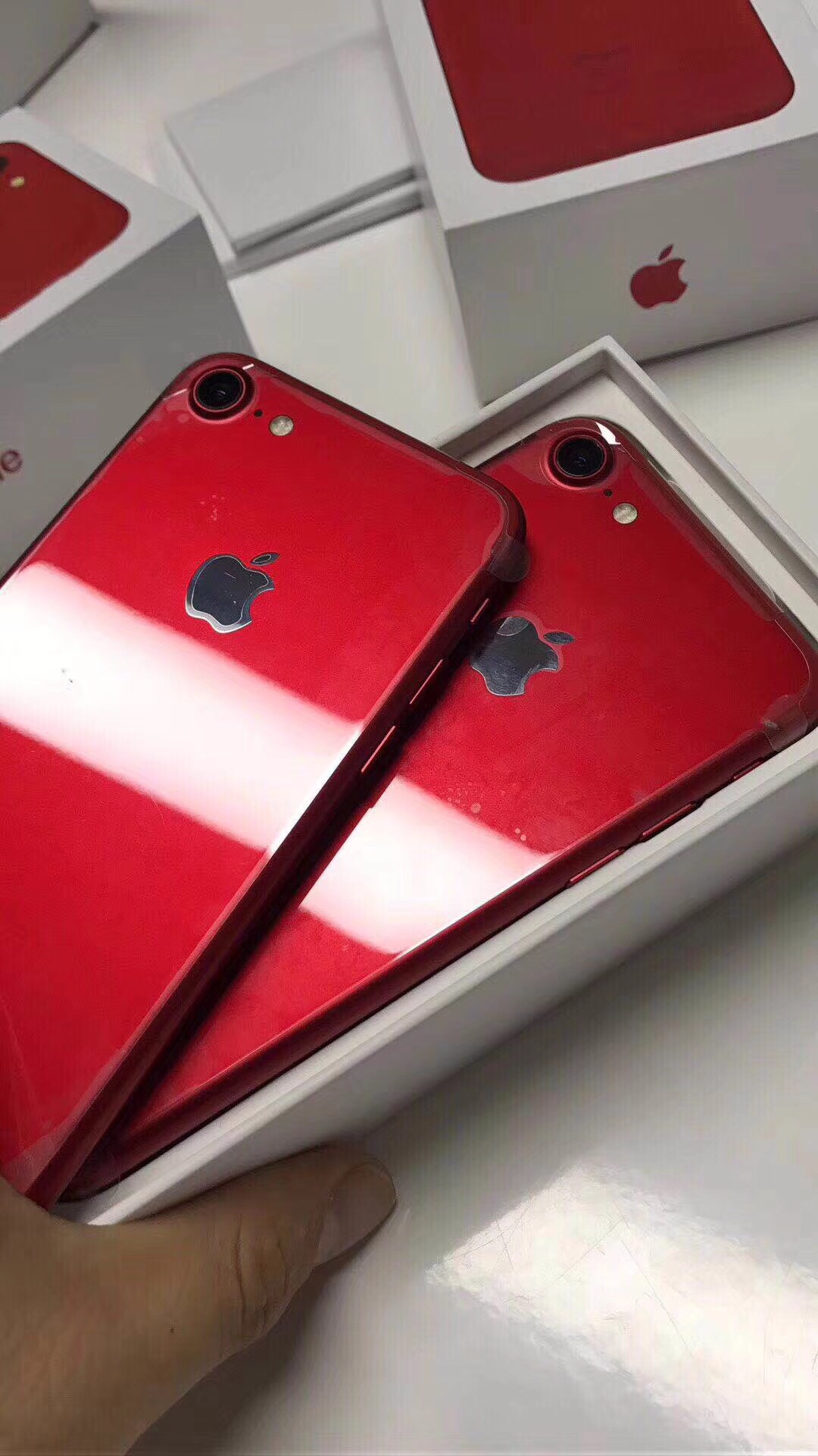 苹果版快手国际版(苹果版快手国际版区别)-第5张图片-QuickQ官网 苹果版快手国际版(苹果版快手国际版区别)-第5张图片-QuickQ官网