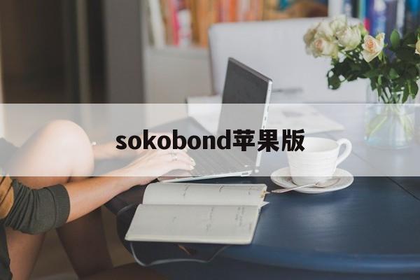 sokobond苹果版(bhoppro苹果版下载)