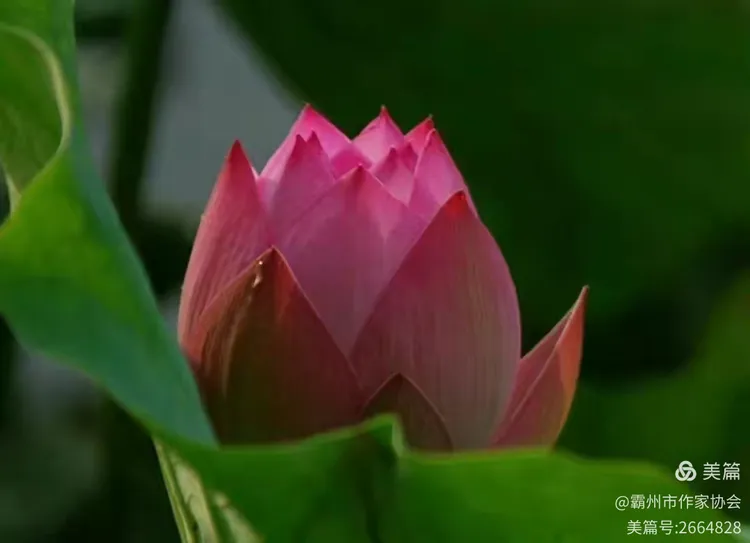 思吟雨情趣商城手机版(思吟雨情趣商城手机版官网)-第1张图片-SafeW