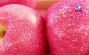 onemovi苹果版(Motionleap苹果免费版)-第5张图片-QuickQ官网